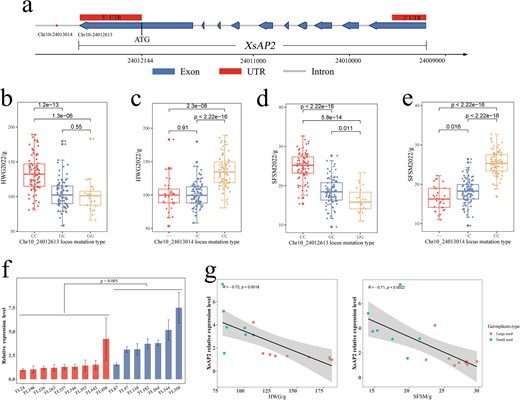 Hortres's tweet photo. Uncovering key genetic factors for yellow horn seed yield: GWAS identifies XsAP2, a negative regulator of seed development. #YellowHornGenetics #SeedYield @OxfordJournals
Details:https://t.co/ODu3nx3jPd https://t.co/ebqVCcvW5Z