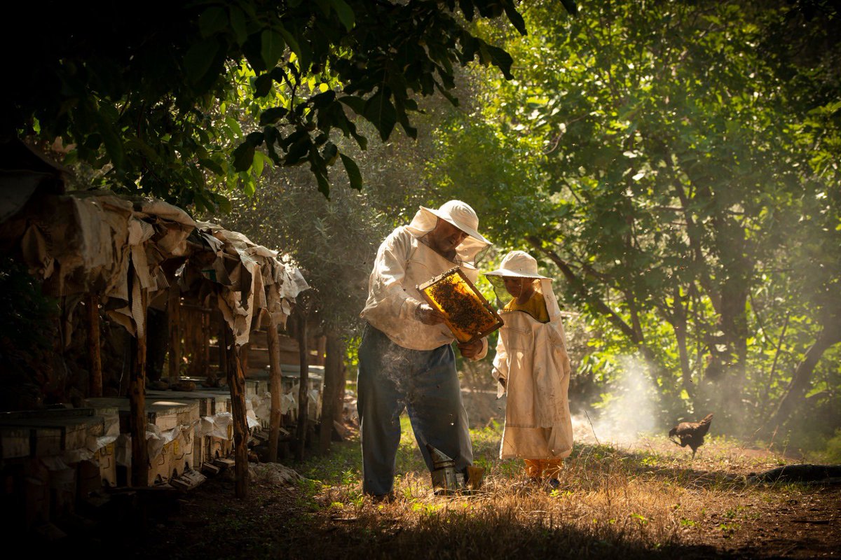 📍Tarıma, ormana ve insana dair benim de bir eserim var diyorsanız sıra sizde.

📸 <a href="/tarimveinsan/">Tarım Orman ve İnsan Fotoğraf Yarışması</a> Fotoğraf Yarışması başvurularında son 3 güne girildi.

🇹🇷 Anadolu'nun eşsiz motiflerini barındıran nice eser arasında yer almak için;

💻 tarimormaninsan.com
