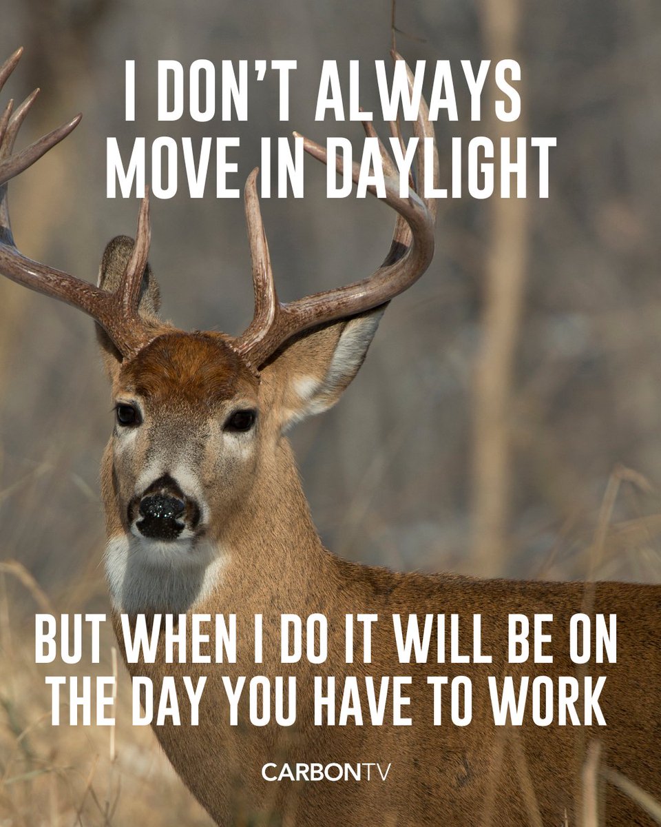 CarbonTV's tweet photo. A βbuck-ingβ good tip: βCash in on those paid days off so you donβt miss me!β ππ¦
#CarbonTV #Hunting #HuntingLife #DeerHunting #HuntingMemes https://t.co/UfFUTFM6gX