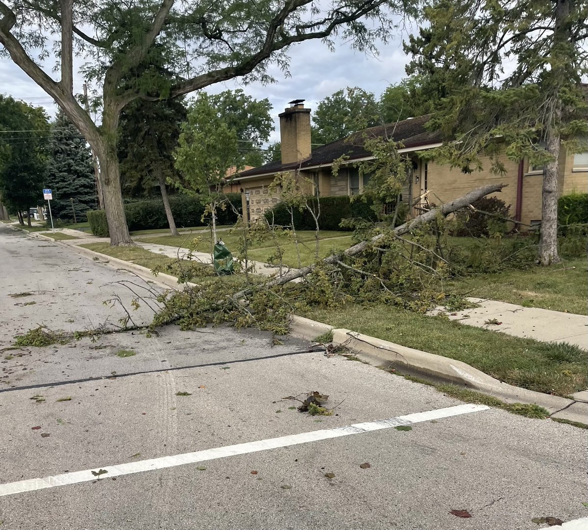 MattThommes's tweet photo. @NWSChicago Des Plaines: Wolf, Rand, Mt Prospect Rd subdivision. https://t.co/EabQPAgZ2Z