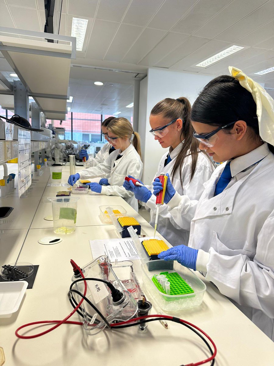 Scott Russell tweet media