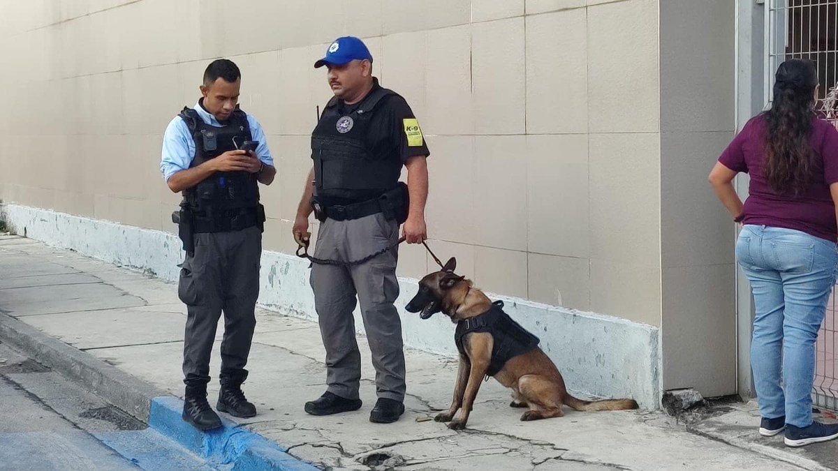 adnnoticiasmx's tweet photo. 🚨#AlertaADN

Amenaza de balacera en una preparatoria de Monterrey, #NuevoLeón, desató una movilización policiaca https://t.co/dW4q1x1Ku5