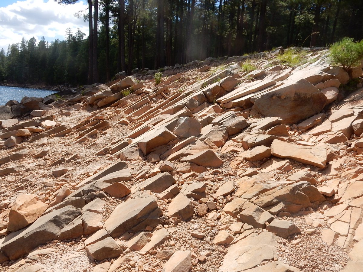 AZGeology's tweet photo. Aeolian cross-beds in Permian Coconino Sandstone from the #Mogollon Escarpment ENE of Payson, AZ, below the Rim Road (FS 300). Also, slabs of cross-bedded #CoconinoSandstone on-edge at Knoll Lake, on the #ColoradoPlateau 2 miles inboard of the Mogollon Rim. https://t.co/t6TOwQRp4Z