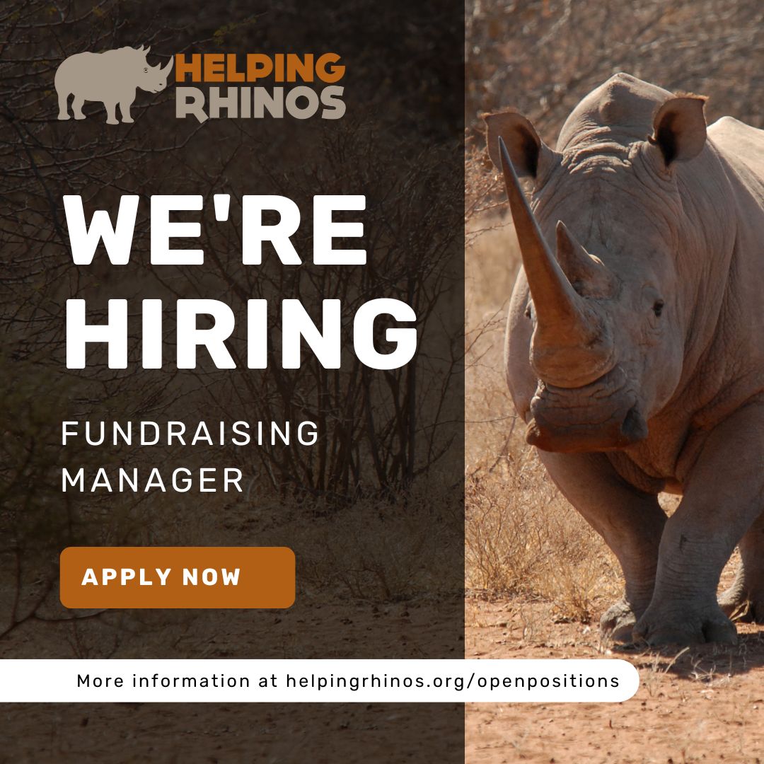 🦏 WE'RE HIRING 🦏
We are looking for a dynamic Fundraising Manager to support our growth as a charity and help expand our impact in the field. 
charityjob.co.uk/jobs/helping-r…
(Applications close on 6th September but early application is encouraged)