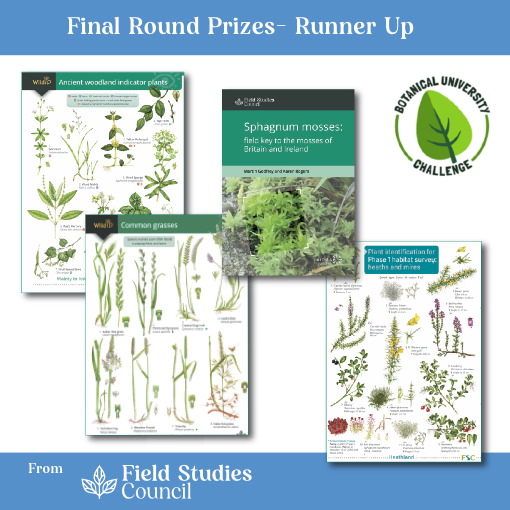 FSC Publications tweet media