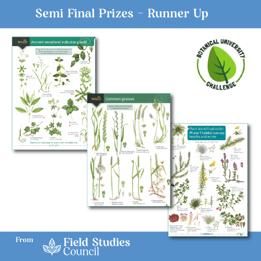 FSC Publications tweet media