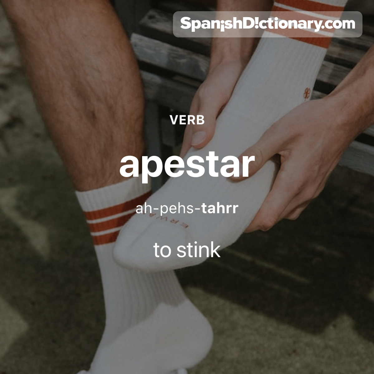 SpanishDict's tweet photo. Today's #WordOfTheDay is "apestar." 🦨🧦🤢 For example: Lava tus medias. Apestan. - Wash your socks. They stink.
.
.
.
#EstudiaEspañol #StudySpanish #AprendeEspañol #LearnSpanish #Español #Spanish #LearningSpanish #PalabraDelDia #apestar #stink https://t.co/vzW5QGzq7l