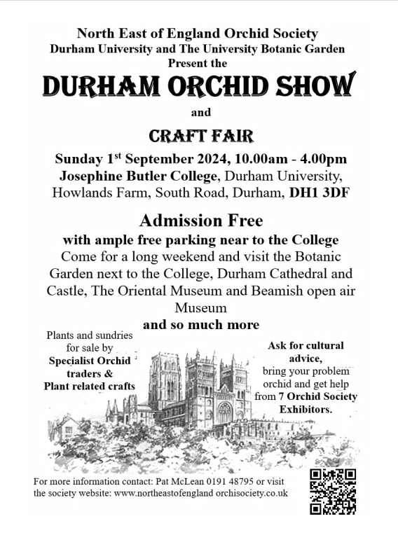 DUThingsToDo's tweet image. 