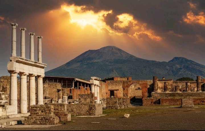 🧢MUSTON™ tweet media