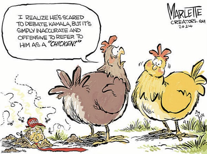 Annette 🟧🇺🇸 🏳️‍🌈 tweet media