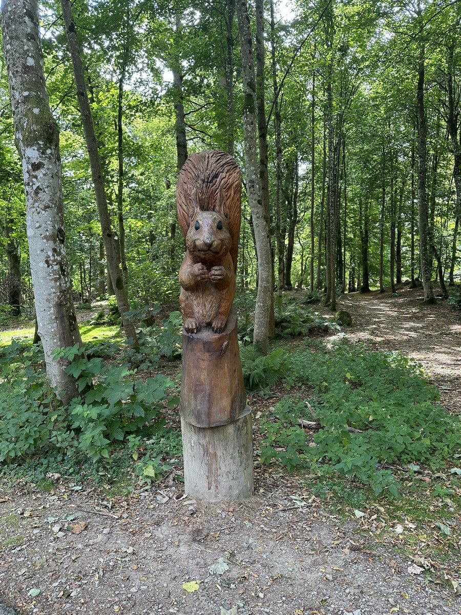 OMD did you see it?!!!!  
A GIANT skwizzer in the woods 🐿️ 🐾🐾