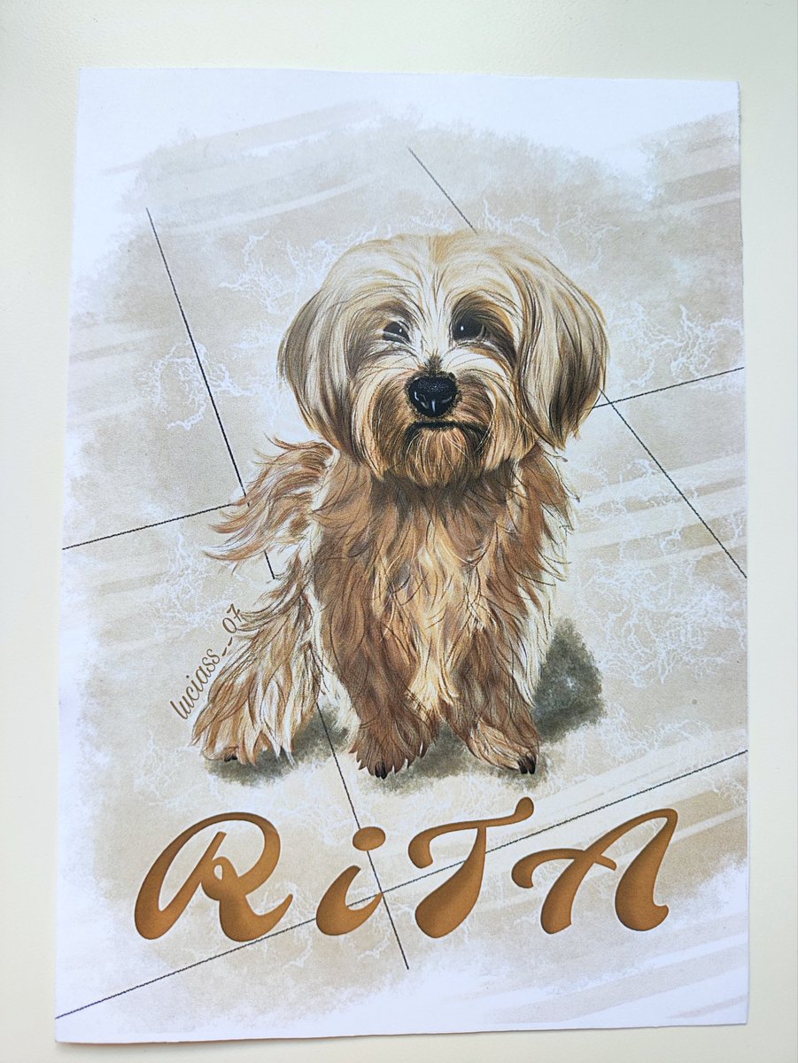 luciass__07's tweet photo. DIBUJO PERSONALIZADO ✍️Creo que se va viendo un poquito mi evolución dibujando mascotas😊#perro #dibujoperro #dog #dogdrawing #digital #digitalartist #illustration #ilustracion #animalportrait #retrato #ilustracionpersonalizada #retratopersonalizado #animallovers #digitalwork https://t.co/9kc1jHsabz