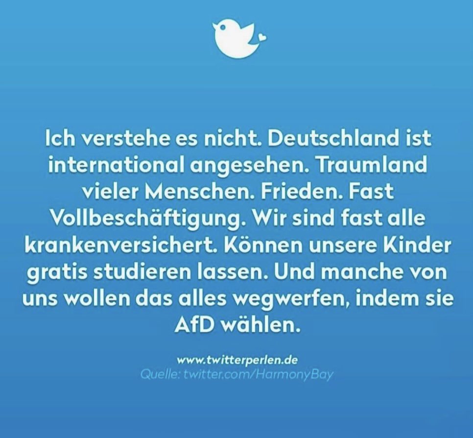 THIS‼️

@joerg_spengler 
#AfDVerbotJETZT