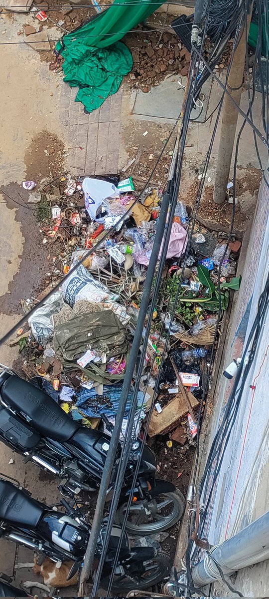 महोदय,<a href="/nagarnigamvns/">नगर निगम वाराणसी Nagar Nigam Varanasi</a> यह गन्दगी पिछले 20 दिन से है कोई सफाई व्यवस्था नहीं हो ने के कारण बदबु भी आरही हैं।। यह तस्वीर विश्वनाथ मंदिर परिसर गेट नंबर 4 नंदू फरिया गली की है जहा से रोजाना सैलानी और दर्शरनाथी गुजरते हैं।। कृपया ध्यान दें ।। <a href="/aajtak/">AajTak</a> <a href="/CMOfficeUP/">CM Office, GoUP</a> <a href="/narendramodi/">Narendra Modi</a> <a href="/Uppolice/">UP POLICE</a>