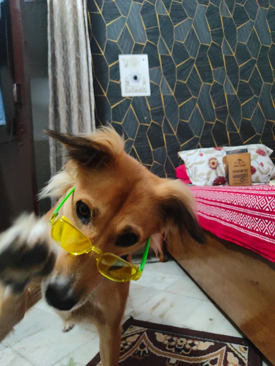 Ankit_Sharma_01's tweet photo. @Supertails_IND Thanks for the awesome gift! https://t.co/AYAxG2AXWr