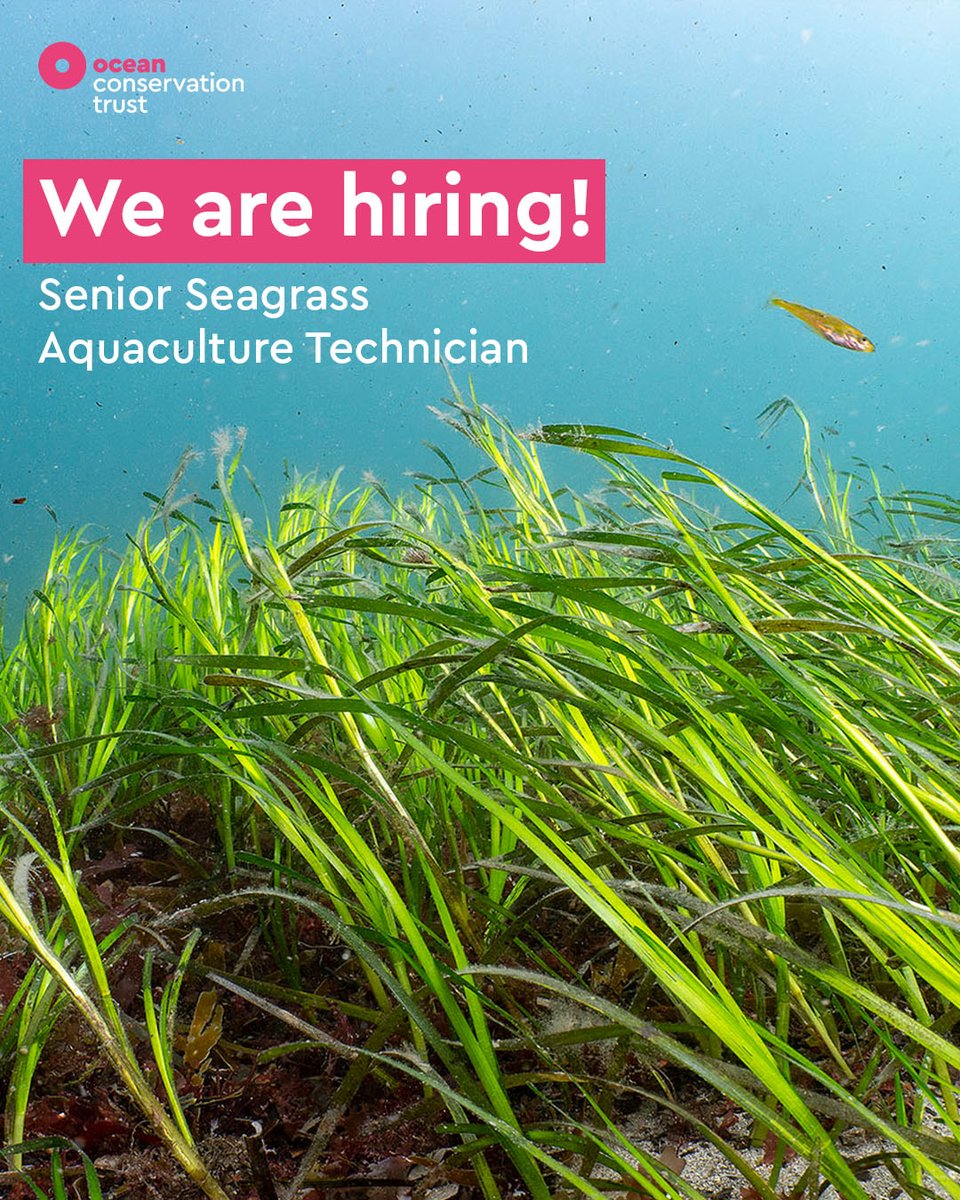 Ocean Conservation Trust tweet media