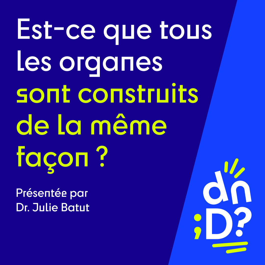 Du Neuf Docteur ? (@duneufdocteur) on Twitter photo Retrouvez-nous samedi 28 août à 10h pour découvrir la nouvelle vidéo avec notre invitée du mois: Dr. <a href="/batut_julie/">Julie Batut</a>. Elle vous parlera de comment sont construits les #organes.
#duneufdocteur #mediationscientifique #vulgarisationscientifique #recherche #biologie #cellules Retrouvez-nous samedi 28 août à 10h pour découvrir la nouvelle vidéo avec notre invitée du mois: Dr. <a href="/batut_julie/">Julie Batut</a>. Elle vous parlera de comment sont construits les #organes.
#duneufdocteur #mediationscientifique #vulgarisationscientifique #recherche #biologie #cellules
