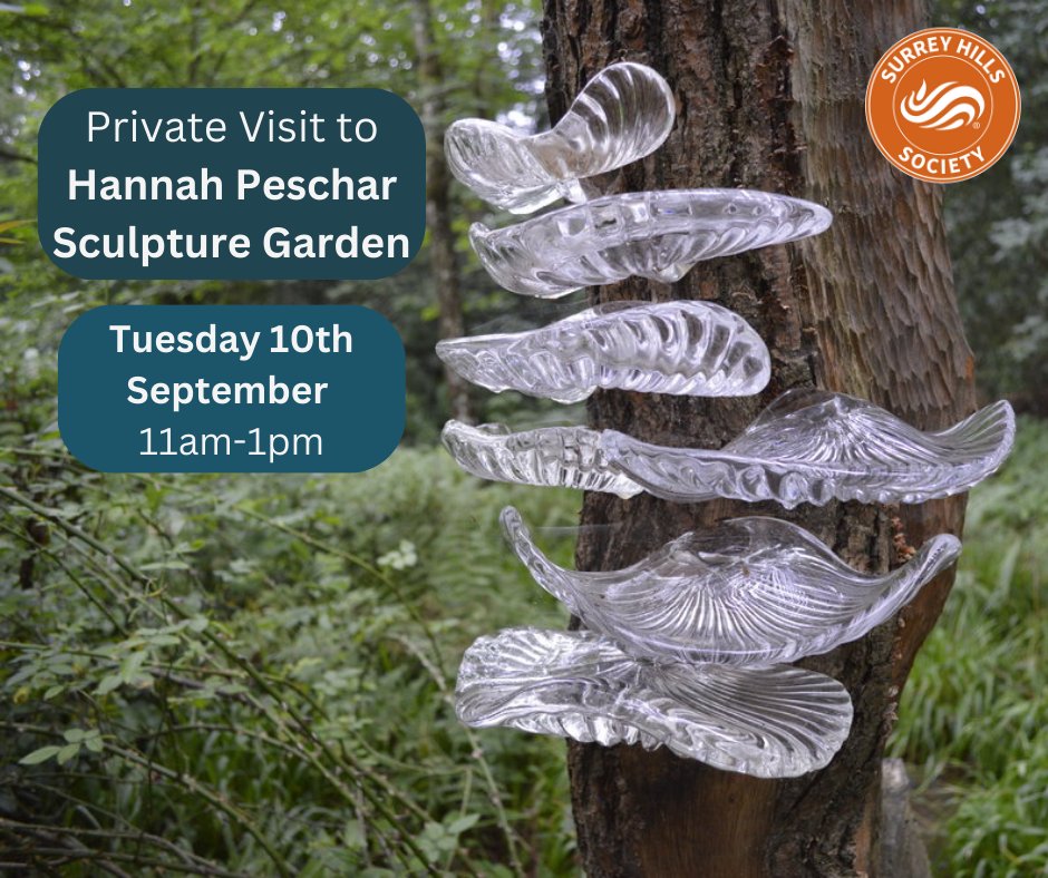 Join us to discover the beautiful artworks in the Hannah Peschar Sculpture Garden.

Further details can be found on our website, along with the booking information. Please book by the 6th September. surreyhillssociety.org/events/private…

#SurreyHills #NatureArt
