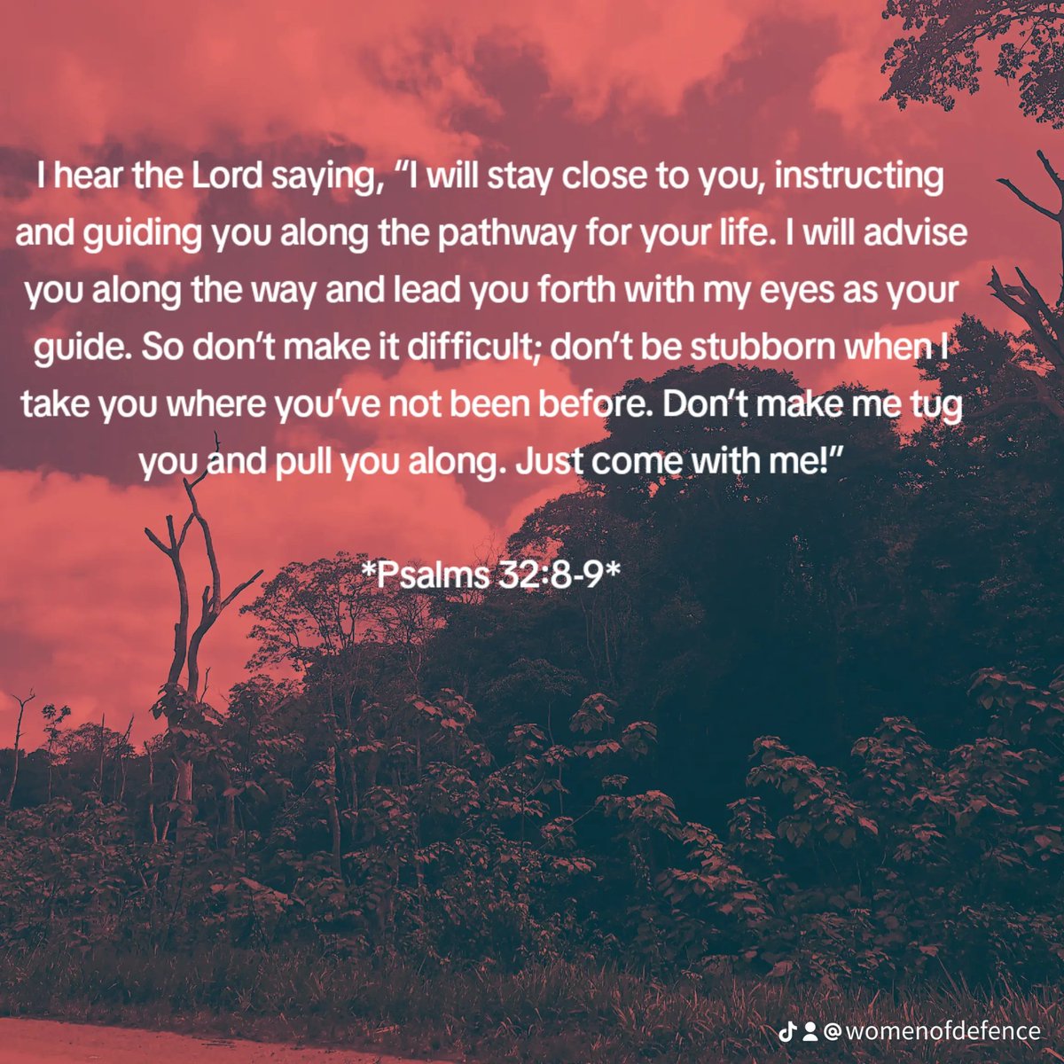 WomenofDefence's tweet photo. 🐦Navigating life's path with faith. Join us at Women of Defence to weepfor yourselves and for your children.

Let the Lord guide you.
#WomenOfDefence #LifePath #weepforyourselveswednesday https://t.co/f6GPgcQMjF
