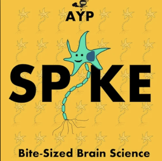 ActionPotential's tweet photo. Our AYP Spike Podcast for your school run journeys is coming soon, full season will be launched week beginning 9 September, teaser episode is here.

https://t.co/fShexEAHU0

#NeuroNinja
#BackToSchool
#WellBeing
#Worries https://t.co/WzzaHvvUhi