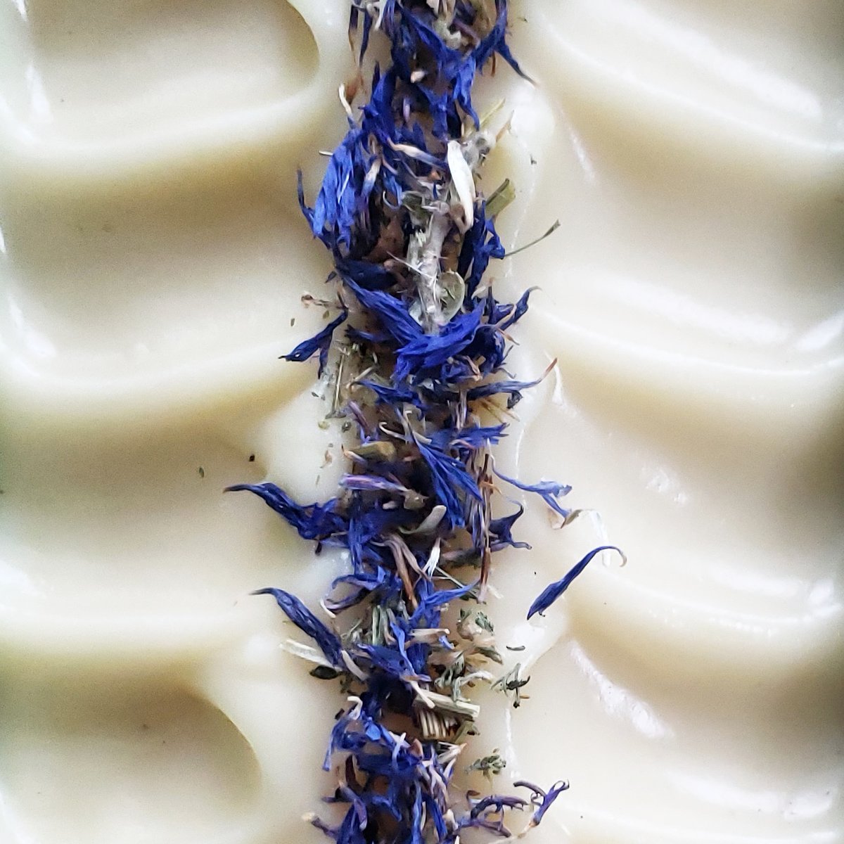 Citrustreesoap's tweet photo. Eucalyptus &amp; Mint for #wetsoapwednesday 🌿

#naturalsoap #soapshare #soapmaking #artisansoap #coldprocesssoap #bathandbody #vegansoaps #handcraftedsoap #vegansoap #veganbeauty #palmfreesoap #soaptop #sensitiveskin #findyouressence #sheabutter #handmadeproducts #skincareproducts https://t.co/nJ4efg1XEv