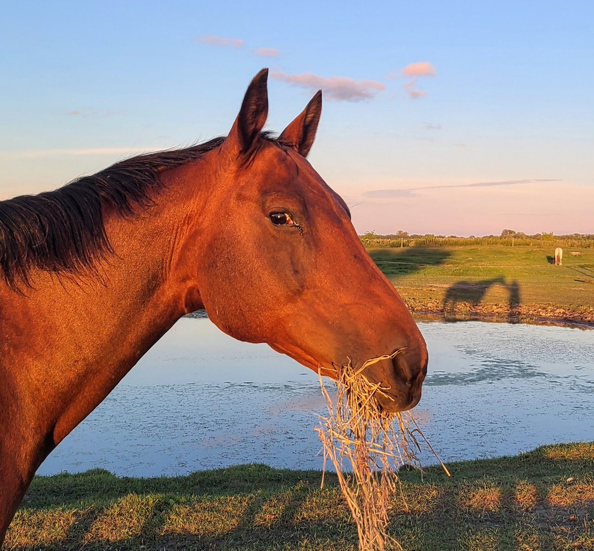 Judi Watt tweet media