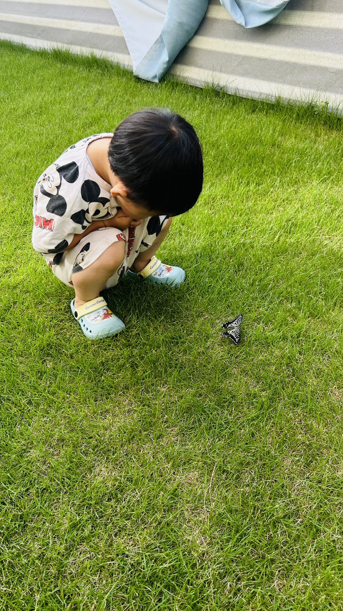 🐛ྀིちゃすピ🧡₀₀₀✎ (@chaspin1) / Posts / X