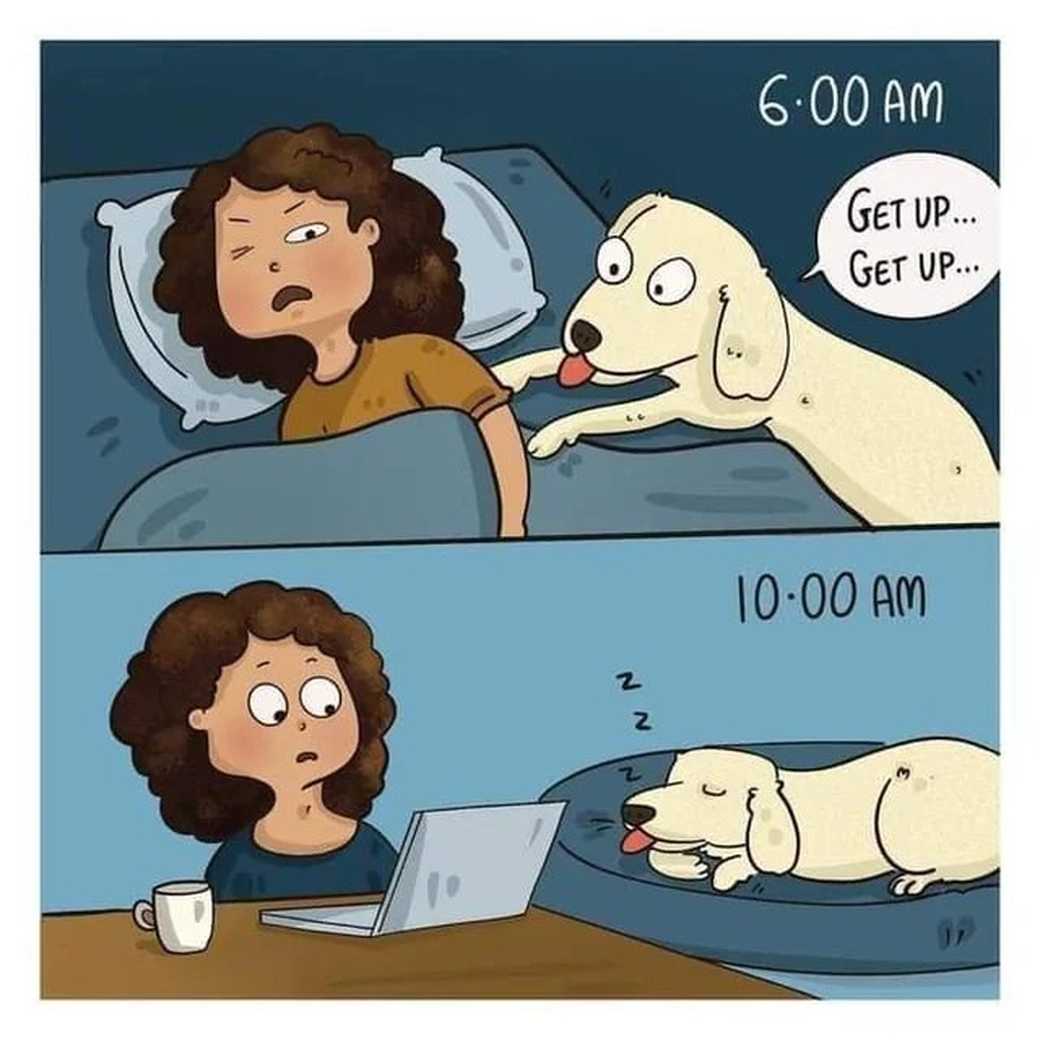 True story 🤣