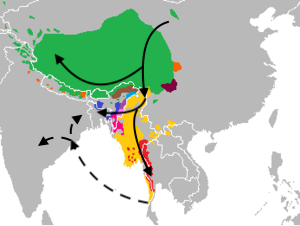 gnxp_posts's tweet photo. Tibeto-Burman admixture into Bengalis https://t.co/hS80xYu3Az https://t.co/7am8IWCy31