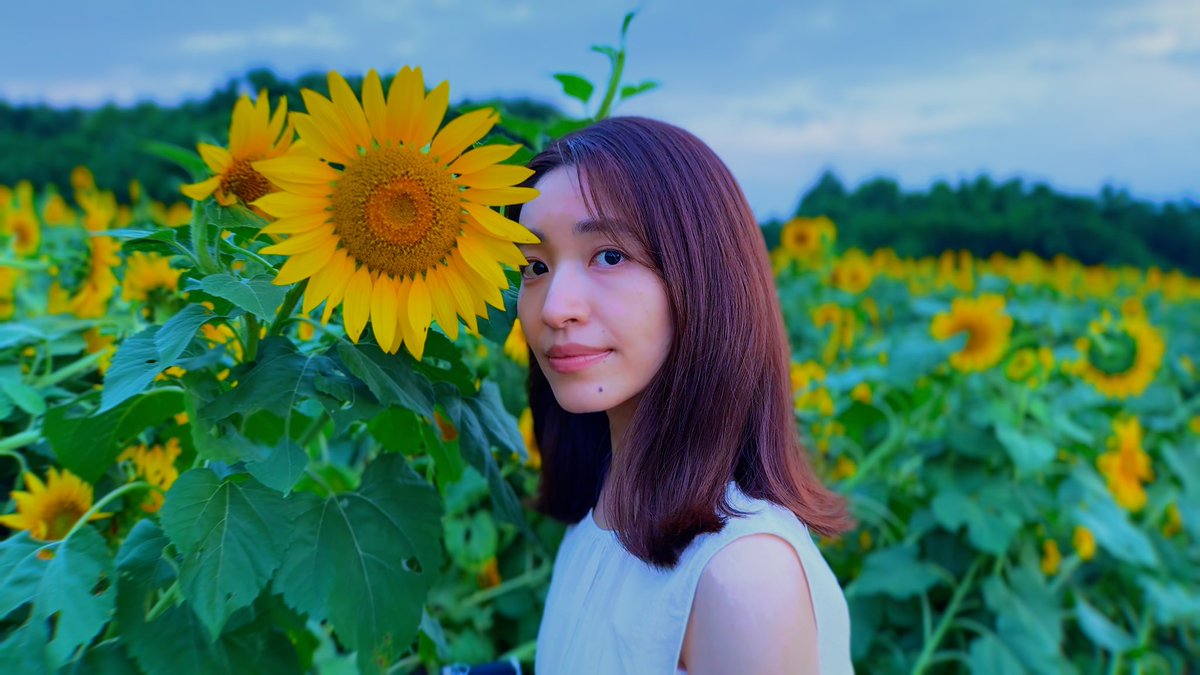 reyyyna___83's tweet photo. 🎞️New short film🎞️ 
YouTubeにアップしました！
ぜひ良かったら観てください😊🩵
https://t.co/d1s0XE886D
#山梨県　#北杜市　#明野　#ひまわり畑
#ショートフィルム https://t.co/g0BRakmOqR