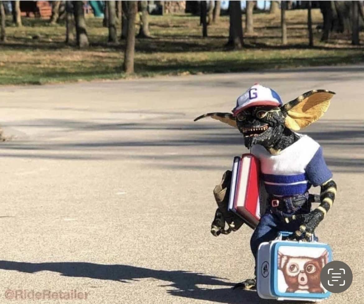 Yes, your children look adorable on their first day back at school.  🤣🤣🤣 #gremlins