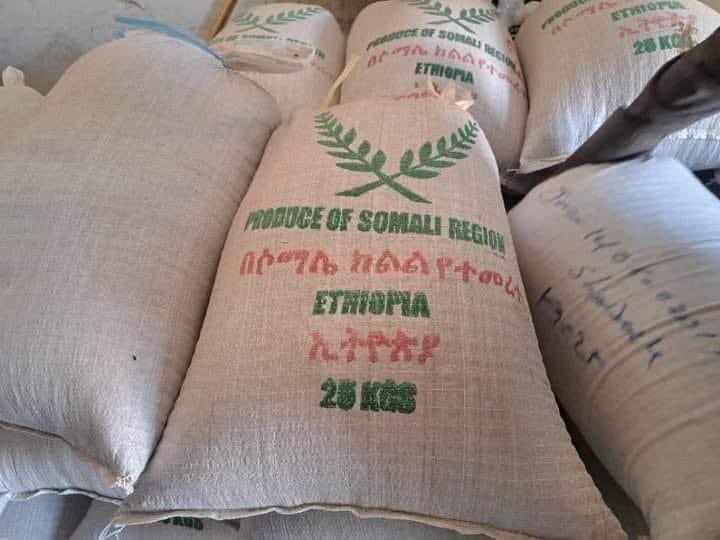 biciidcenter's tweet photo. Kani waa BARIIS ka baxay beeraha degmada GODEY GACALO. Waa albaabkii laga soo qabtay ciidankii XDS 1977 waa magaalo dagaal haddana waxa ay noqotay magaalo waxsoosaar. 

#BiciidMagazine https://t.co/6nnSkJG0pQ