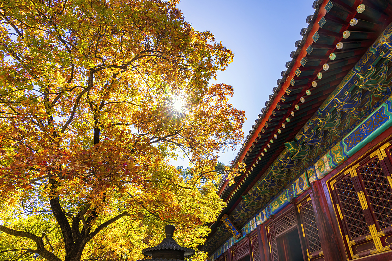 Beijing's Xiangshan, or Fragrant Hills, is known for its scenic beauty and rich culture. 

It symbolically inspires the ethos of the Beijing Xiangshan Forum as an influential platform for pooling global wisdom and hosting discussions on shared security on a global scale.