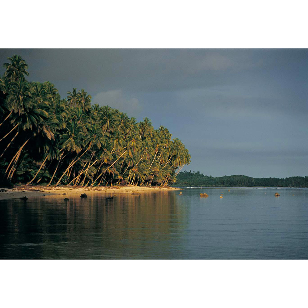MastersonMedia's tweet photo. Before digital there was film. I wish I had taken more photos on my first couple of trips to Indo, but I only had a few rolls of film and I was too busy surfing and only really took photos when there was no surf. These are a few of the handful of shots I have from those trips! https://t.co/Dgc8EnKSOk