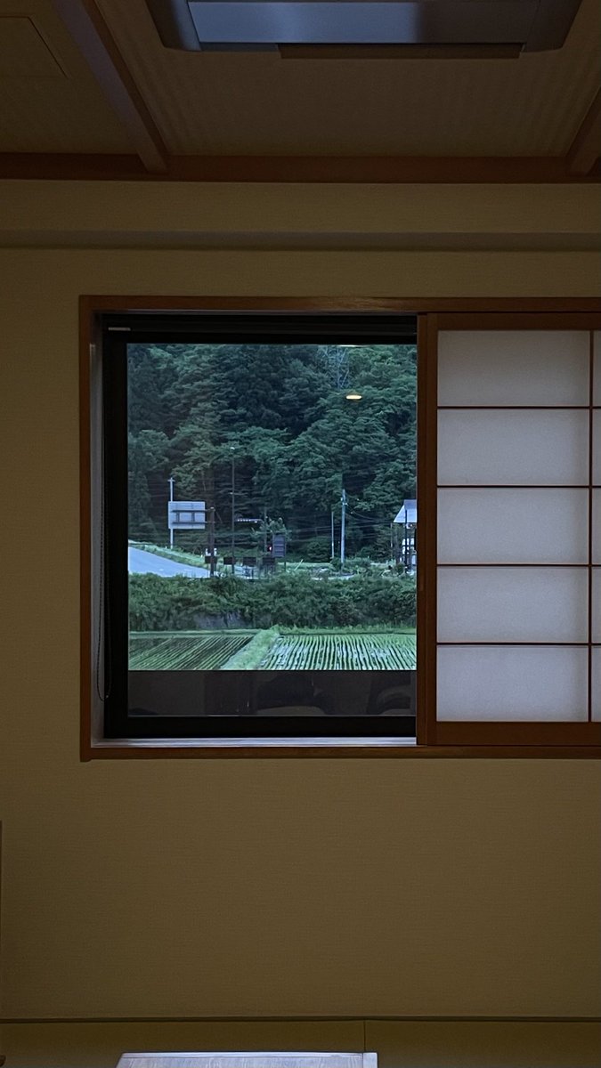 i love seeing a curtain of green through the windows and i couldn't thank the universe enough for its vastness