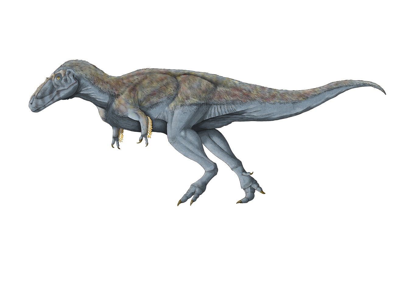 TKC078 ディオクレティアヌスのアルゲンテウス ディオクレティアヌス