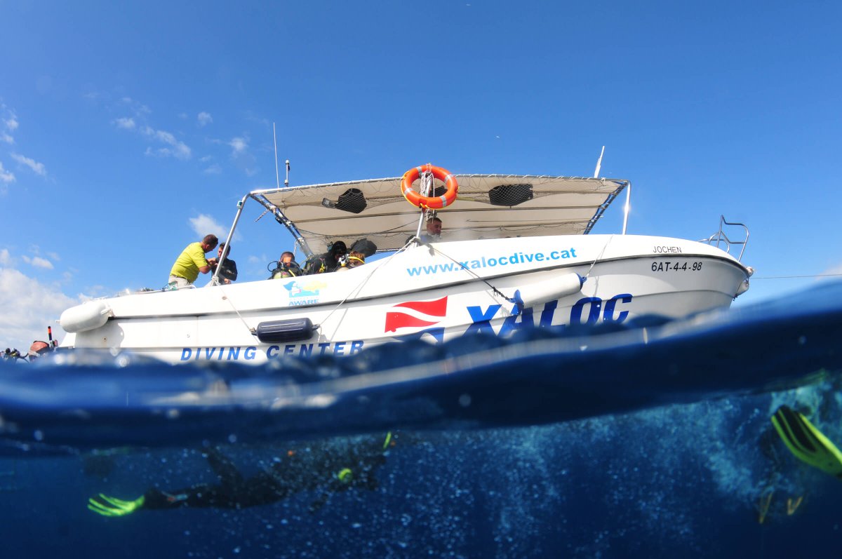 CostaBravaSub's tweet photo. 🐠 Xaloc Diving Center és un Centre de Busseig familiar situat a L’Estartit. Es dedica exclusivament a la formació de bussejadors, ja sigui des de nivell inicial per bussejadors novells al busseig més avançat i exigent. 

#costabrava #immersiolestartit #lestartit #centreimmersió https://t.co/L2iARvXTpy