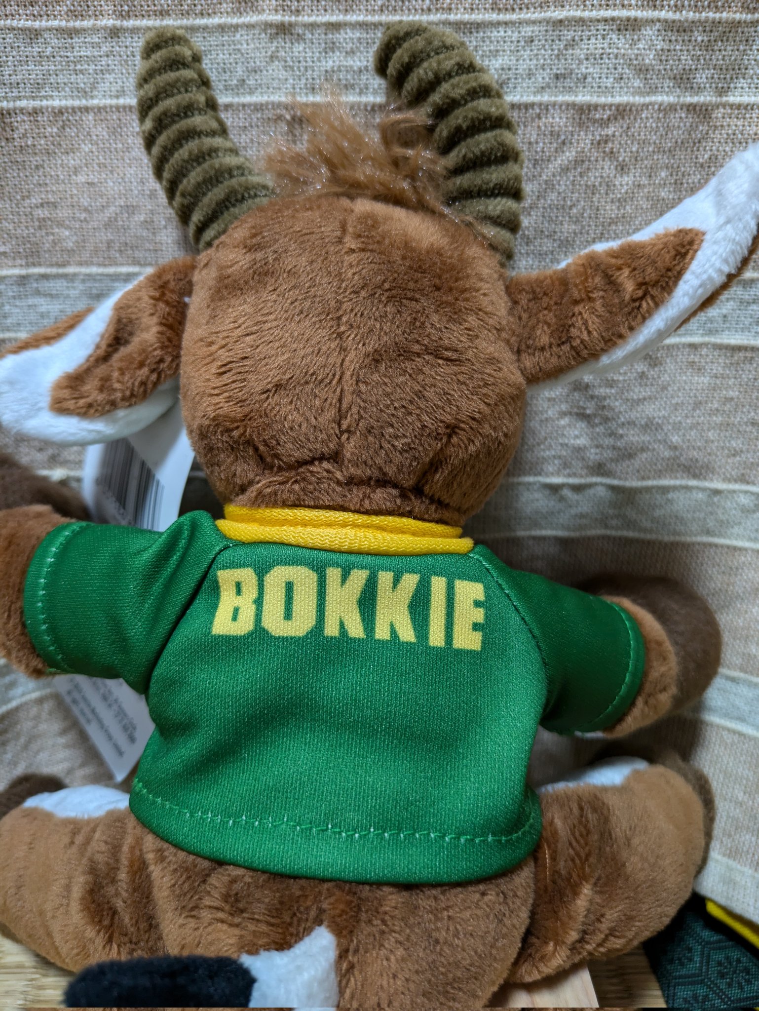 ラグビー　Sprigboks 南アフリカ　マスコット　BOKKIE ぬいぐるみ Cレア品☆ラグビー南アフリカ代表スプリングボックス ラグビー