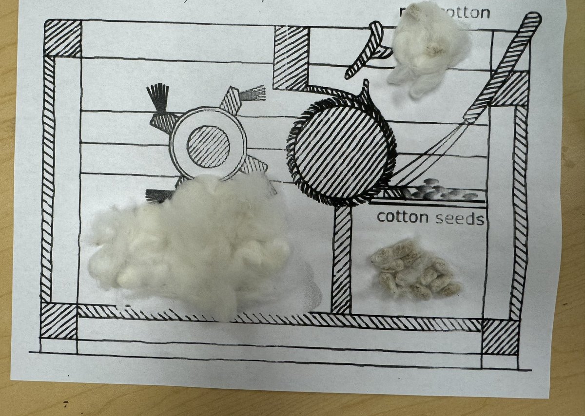 We’ve been learning about the cotton gin and how it changed the US