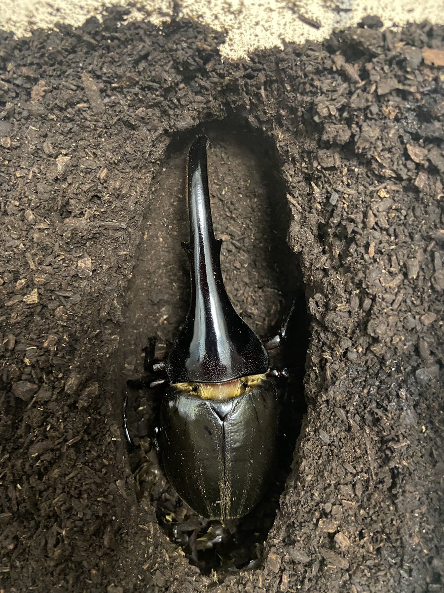 万里 (@0o04434855) on Twitter photo 