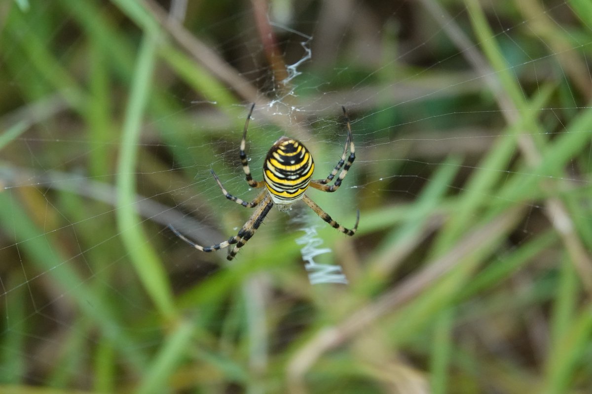 Chris Willson 🇺🇦 tweet media