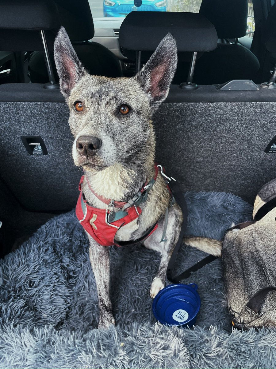 Ashley Baxter tweet media