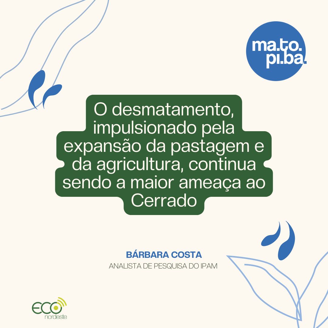 Cenário já é preocupante: 5 milhões de hectares do bioma foram devastados nos últimos 6 anos. Matopiba lidera desmatamento: bit.ly/474EHV9