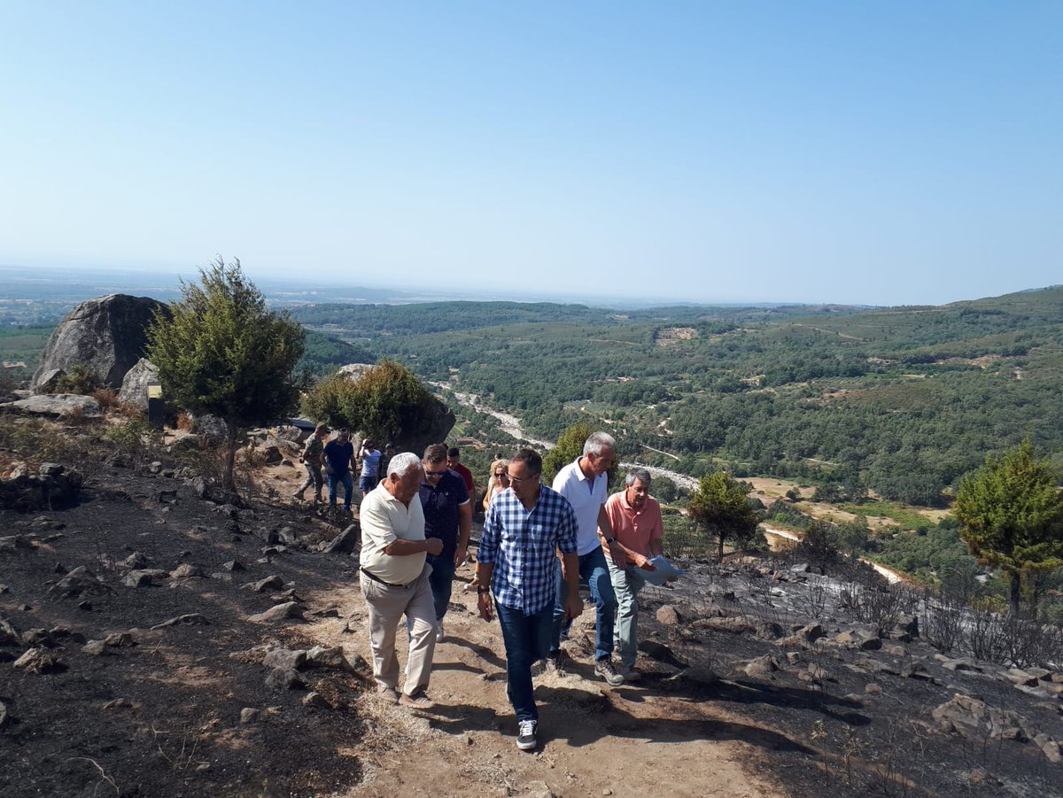 jfcohdez's tweet photo. Quiero agradecer la rápida actuación del dispositivo gestionado por la @jcyl, que está participando en los incendios de #IFSantaMariaDelTietar y #IFElRaso en #Ávila.
Todo mi agradecimiento también al resto de efectivos de otras AAPP que han colaborado en dichas labores. https://t.co/m4eRIC2TBm