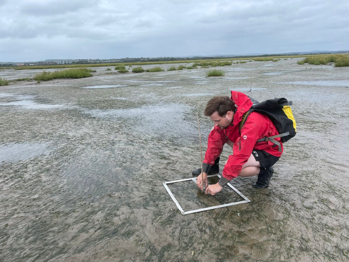 Ollie Thomas tweet media