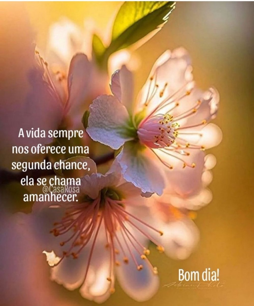 Beijinhos 💋💋