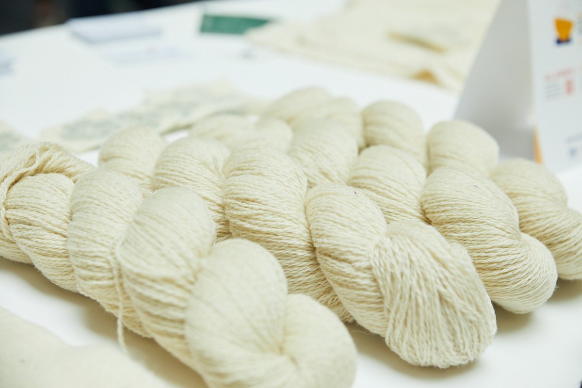 future_island_'s tweet photo. Experts from @IREWoolCouncil Donegal Yarns, @UlsterWool, @stolenstitches, @belfastschoolofart and Tellenby Merino shared their insights on the future of wool in sustainability and hands-on exhibits from artisan demonstrators showcased wool's versatility. https://t.co/d3j8kK1EcW