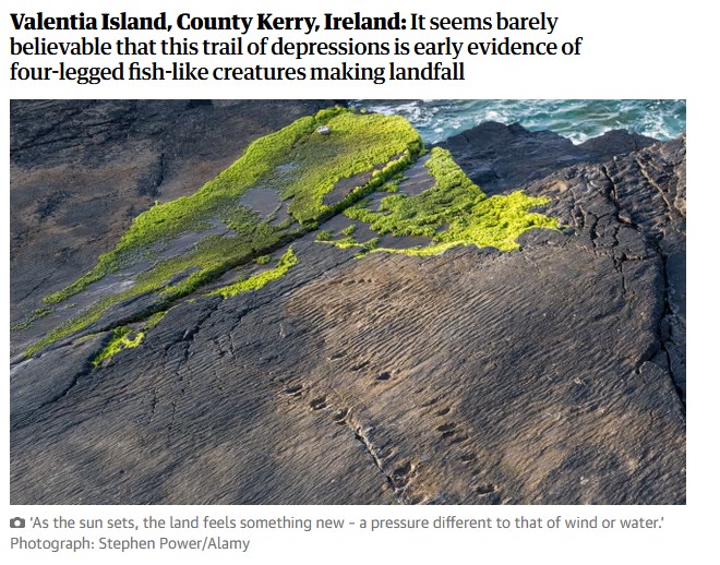 stepowerphotos's tweet photo. My photo of the dinosaur tracks on Valentia Island in @guardian yesterday. https://t.co/deoSQmsJNE