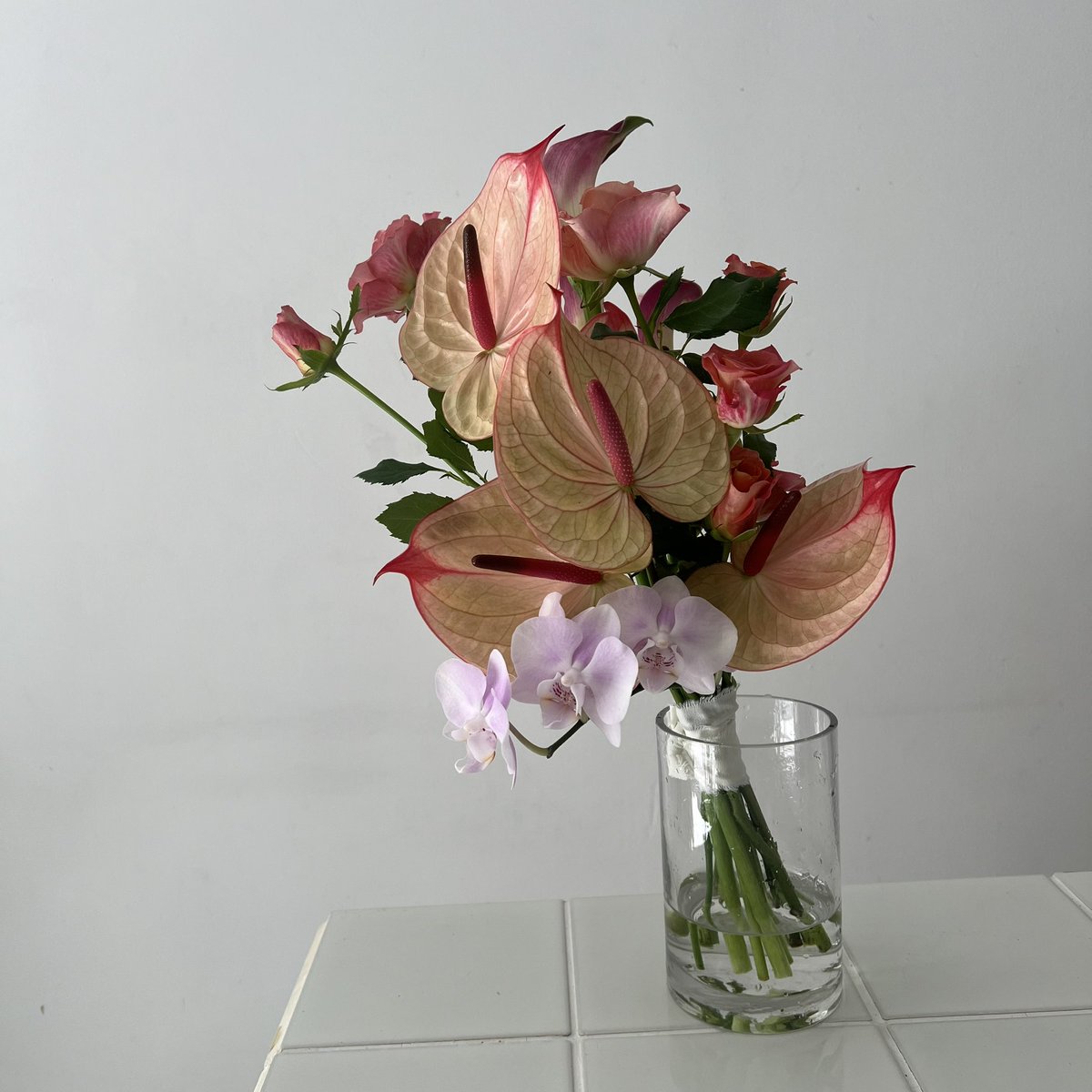 caco_florist's tweet photo. 🩷 https://t.co/U7SRSmeYlB