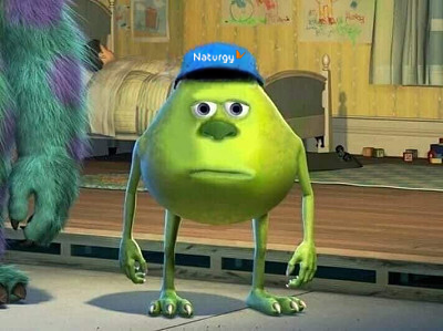 NaturgyClientES tweet media